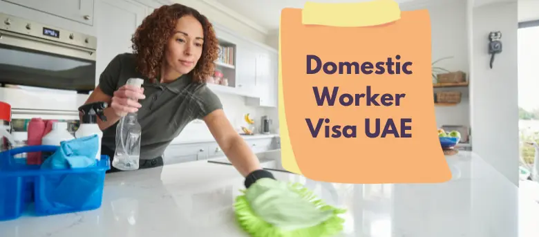 Simplifying Domestic Worker Visas with Dubai Now App